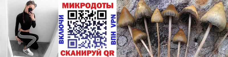 МЕГА рабочий сайт  где найти наркотики  Сухиничи  Галлюциногенные грибы GOLDEN TEACHER 